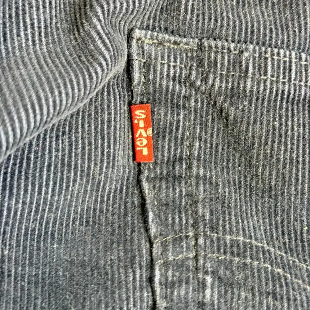Levis levi strauss